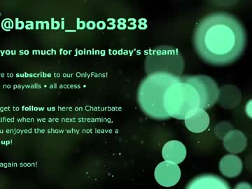 couple Free Live Cam Girls with bambi_boo3838