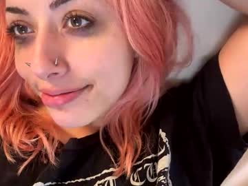 girl
        cinnybunny cam image #35421